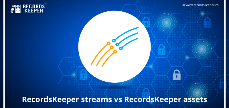 RecordsKeeper streams vs RecordsKeeper assets
